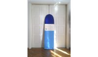 Surfboard Albacore 5,6 A
